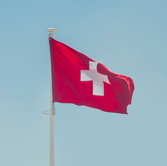 Switzerland Market Review, December 2024: sales up 30%, yield enhancement rules 